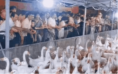 234045wrsi2l1ld2vxuv21.gif