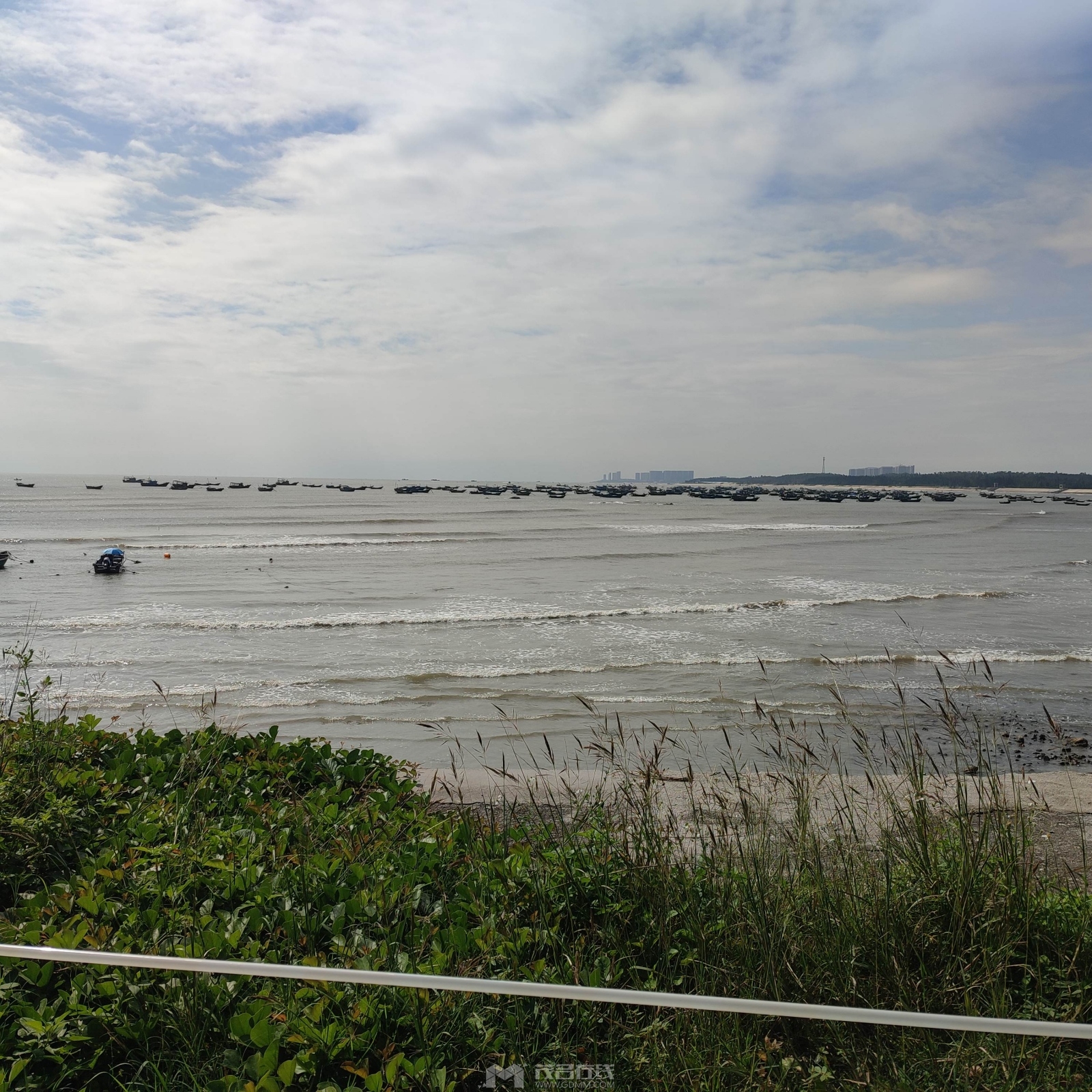 IMG_20231116_130742.jpg
