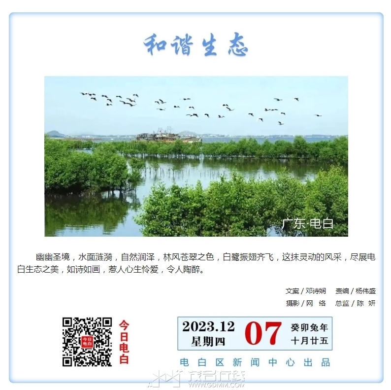 ΢�Ž�ͼ_20231208092057.png