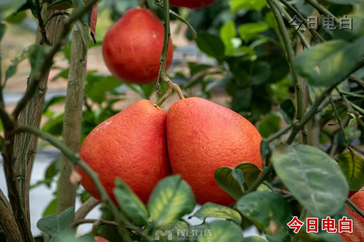 0 (2).jpg