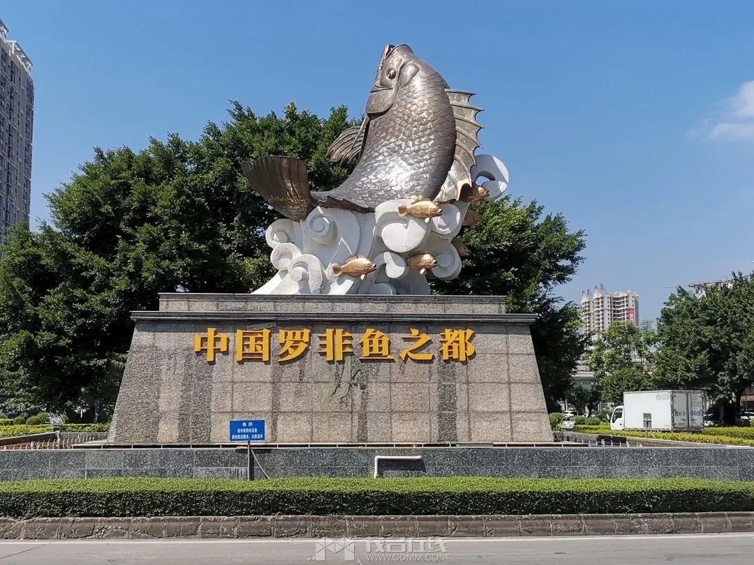 81.jpg