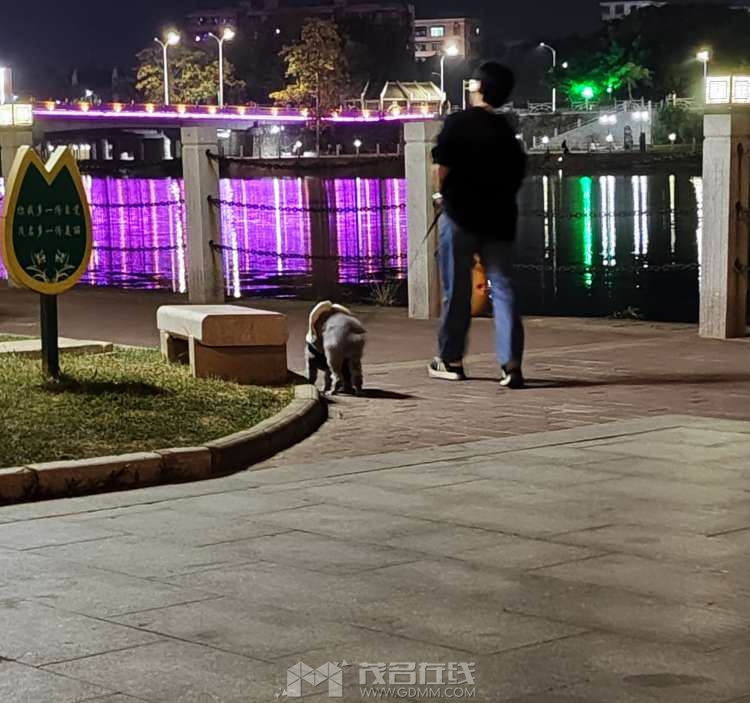 20240106201032front2_0_1587198_FijwHARZ_4eCTY5_BPjytqLHAzWO.jpg