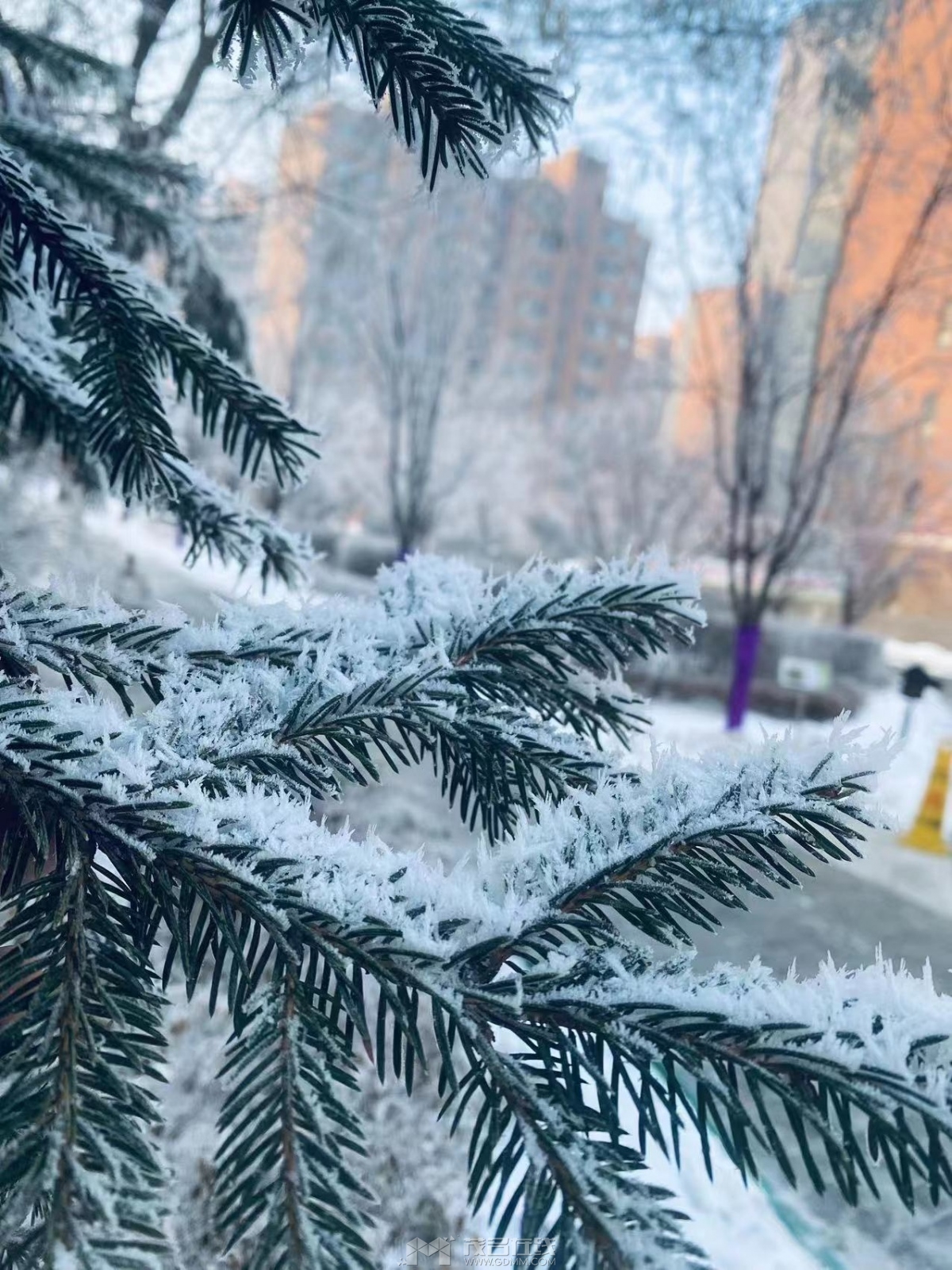 ΢��ͼƬ_20240108144642.jpg
