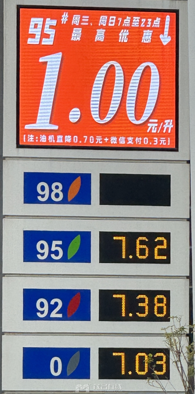 IMG_0504.jpeg