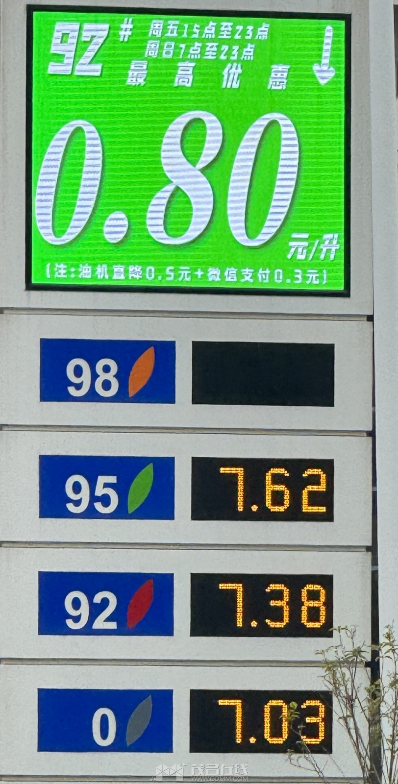 IMG_0503.jpeg