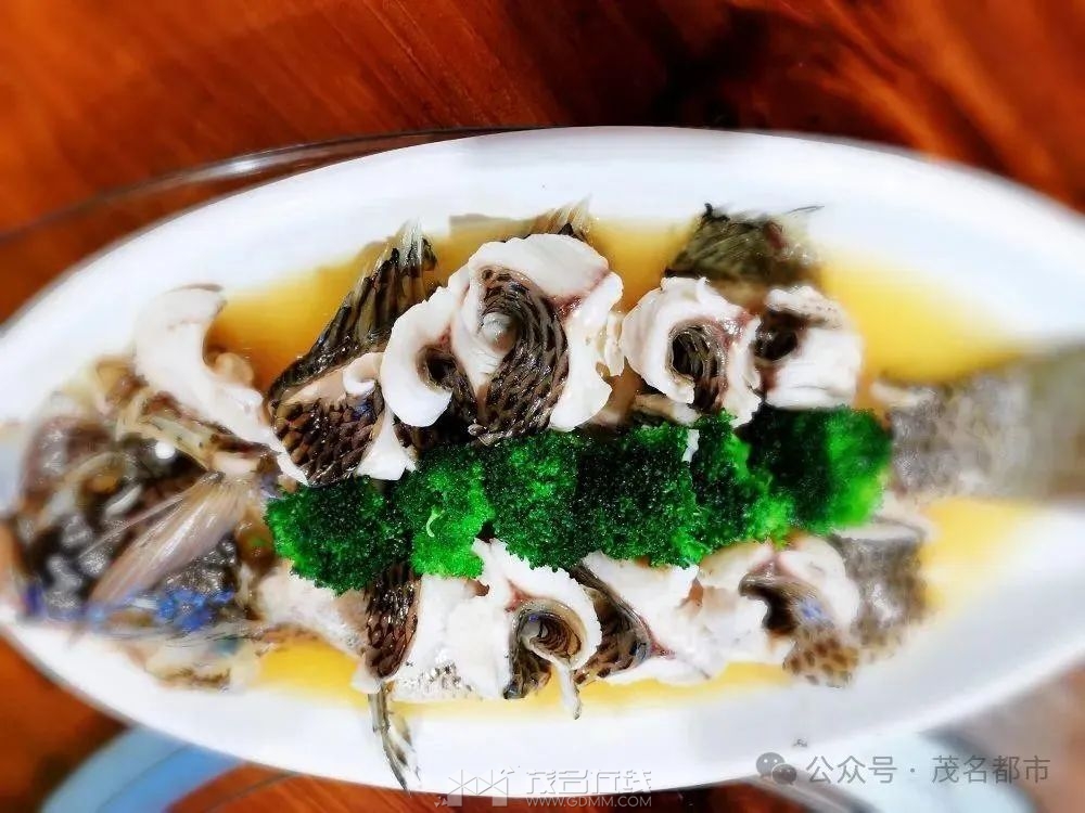 094421s3ukkjyjjz6j6gjb.jpeg 094421s3ukkjyjjz6j6gjb.jpeg