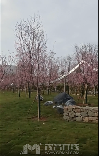 ΢��ͼƬ_20240214093604.png