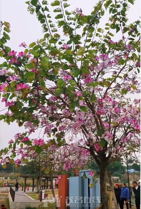΢��ͼƬ_20240305184023.png