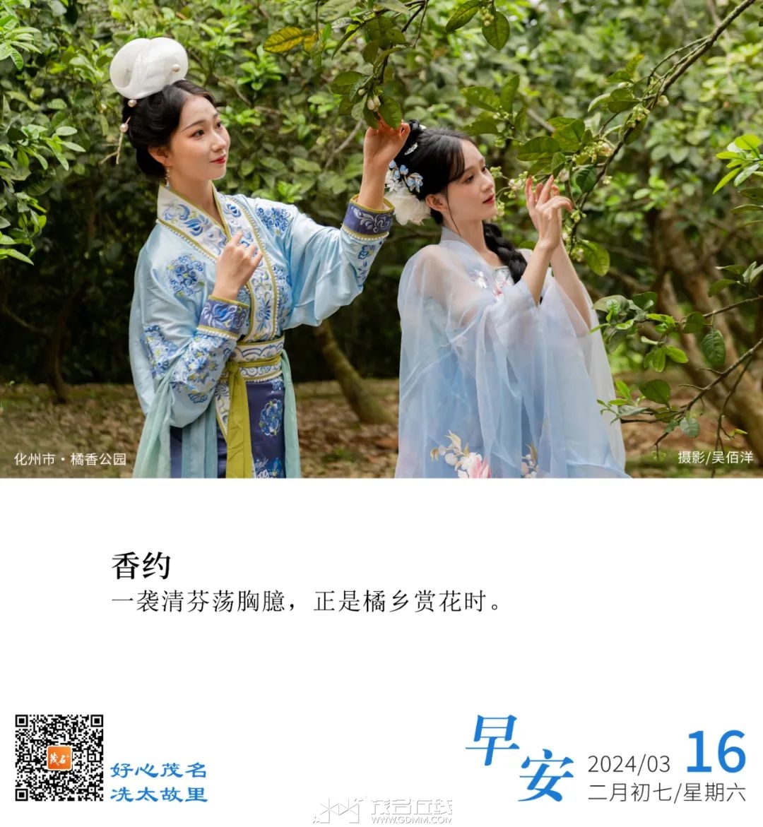115009n304m28wj3m2tsb9.jpeg