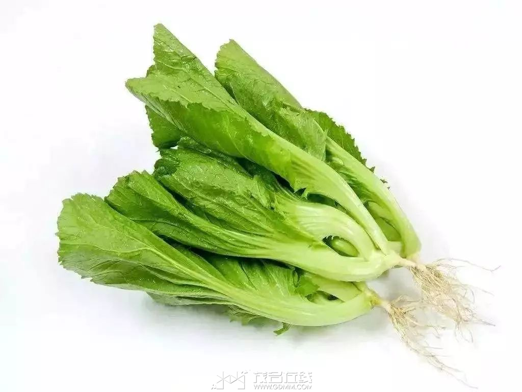 ΢��ͼƬ_20240317105624.png