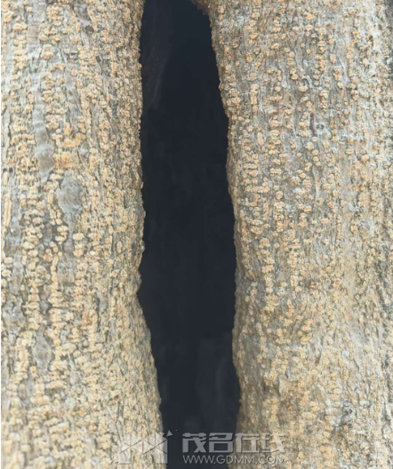 ΢��ͼƬ_20240324235348.png