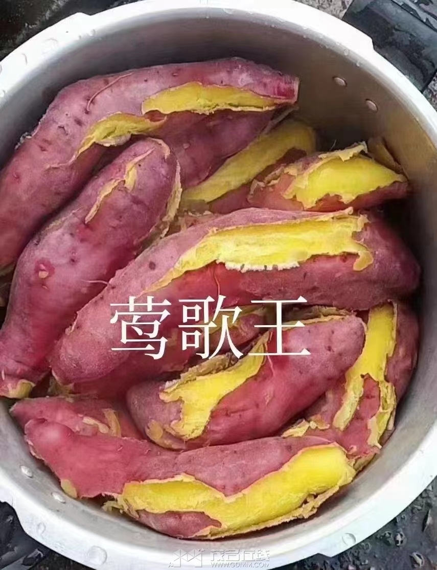 ΢��ͼƬ_20240409101154.jpg