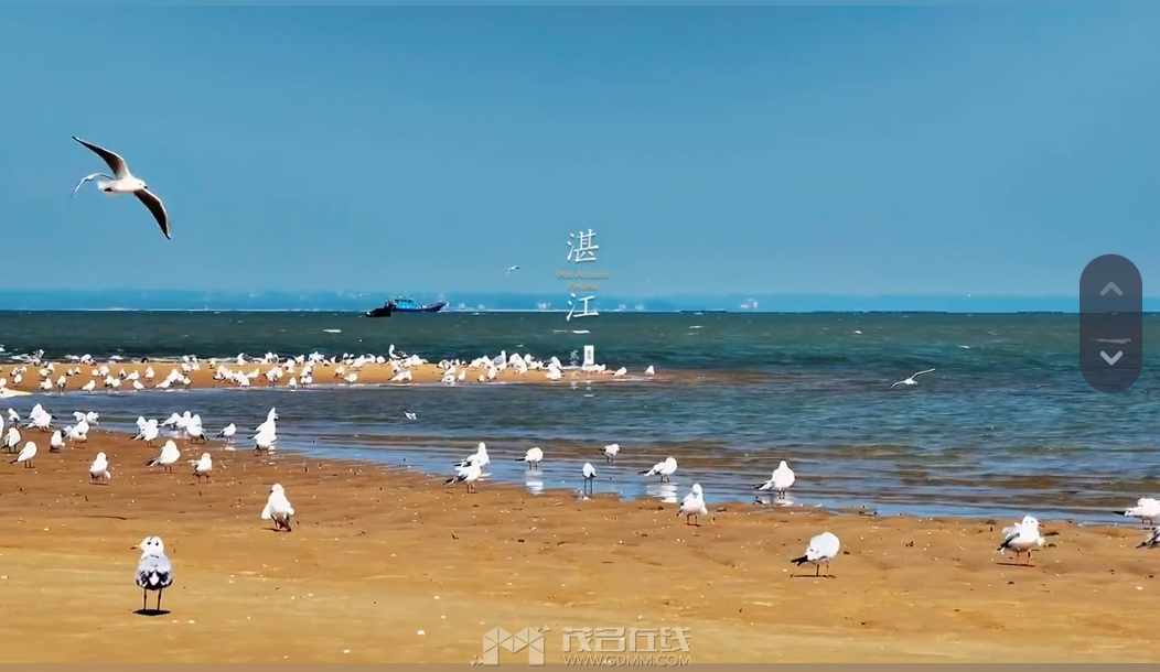 QQ��ͼ20221221163903.png