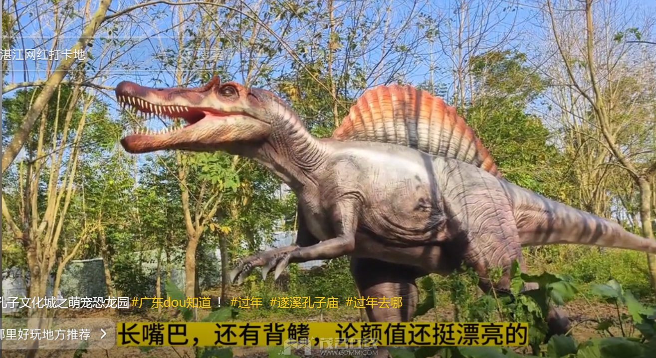 QQ��ͼ20240424141140.png