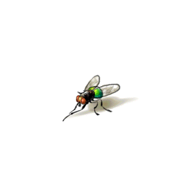 20240430103853front1_0_3370664_Flv2ltLvKzoOwvFmhNn7OoBxl3RX.gif