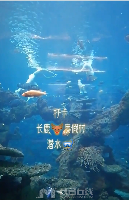 ΢��ͼƬ_20240502000205.png