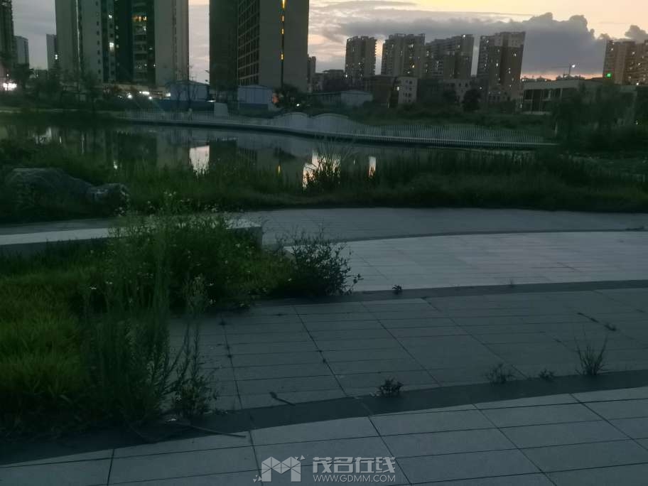 20240521193430front2_0_2949478_Fo-xdEZHKYLeYao84TNmZxgzIL0O.jpg