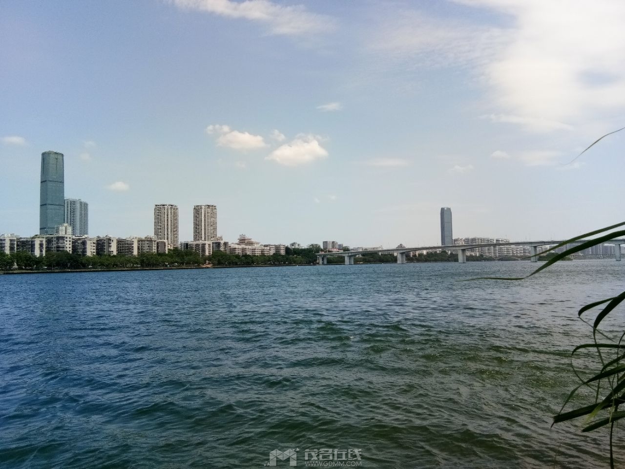 20240530132037front2_0_1092166_FkU3uI3RQdPUfkuu_3rb_y7lVYt-.jpg