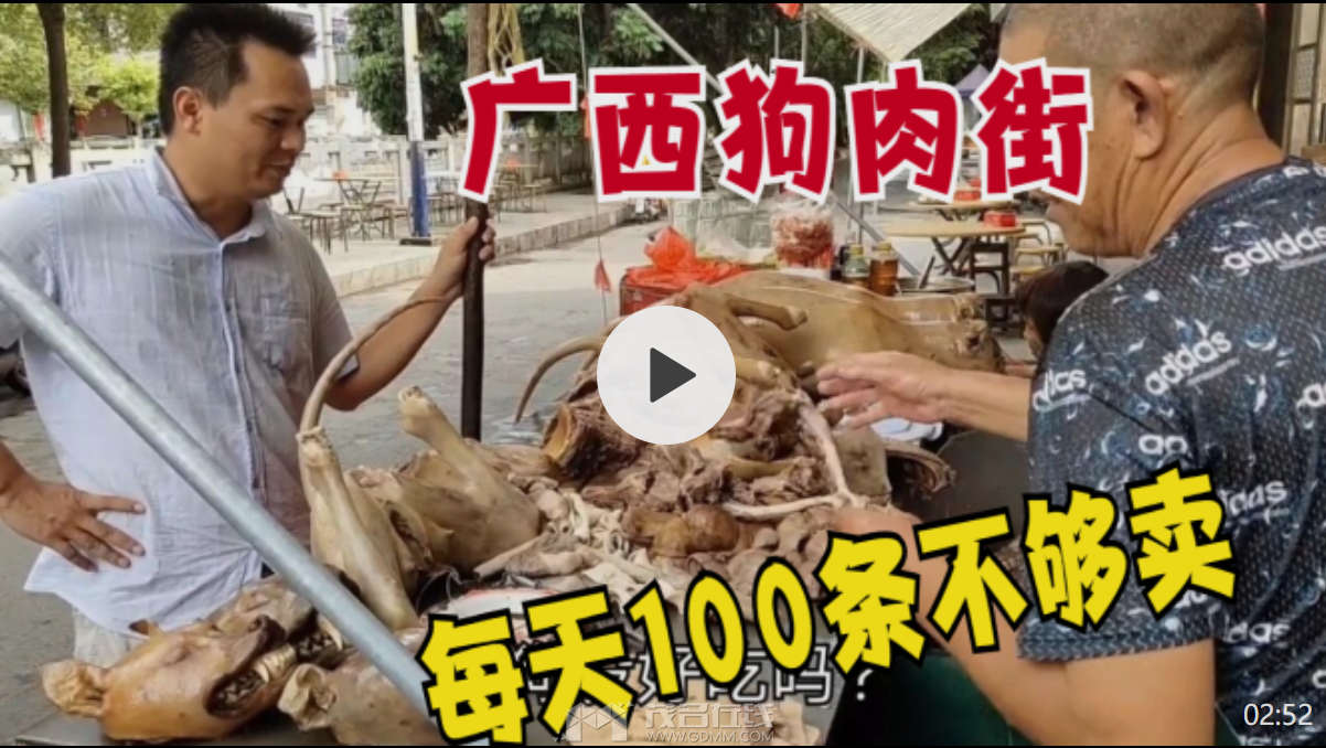 QQ��ͼ20240531194129.png