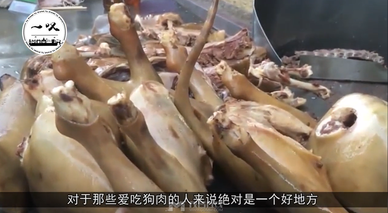 QQ��ͼ20240531200252.png