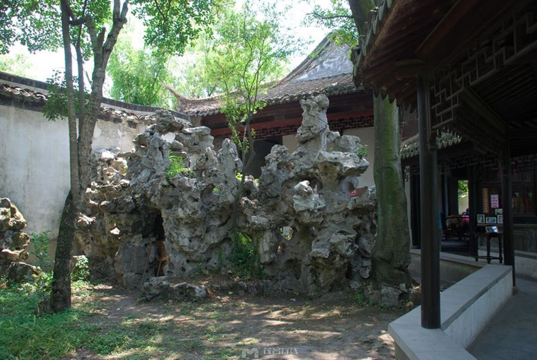 258.jpg