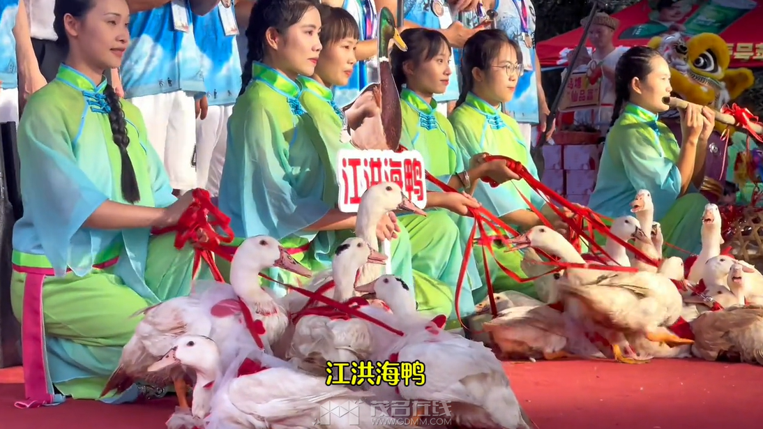 QQ��ͼ20240611163905.png