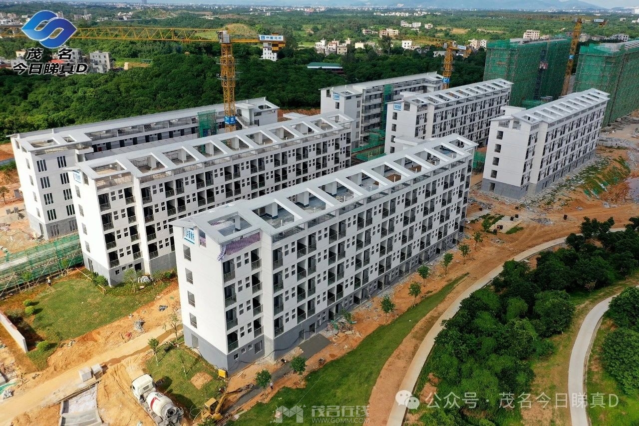 20240705220136front2_0_3269530_FoeTapLMxBaQzPBoj9cYcL3laomJ.jpg