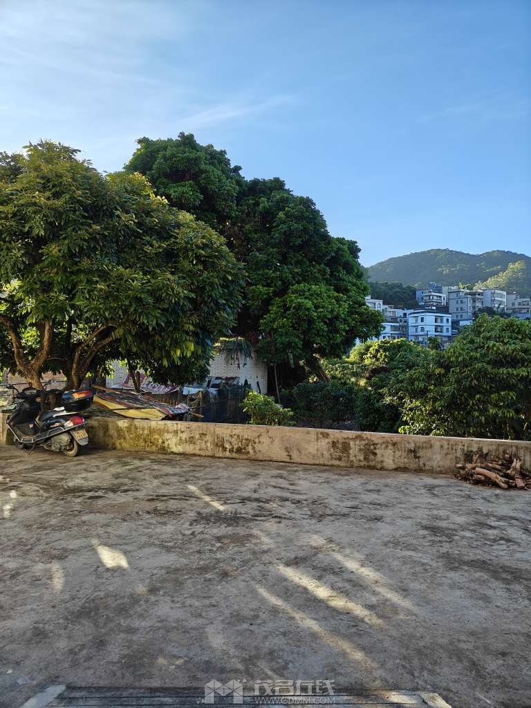 20240711193720front2_0_3387721_FpPPHoAkxVmUeQIDb4aYKOwv_4-T.jpg