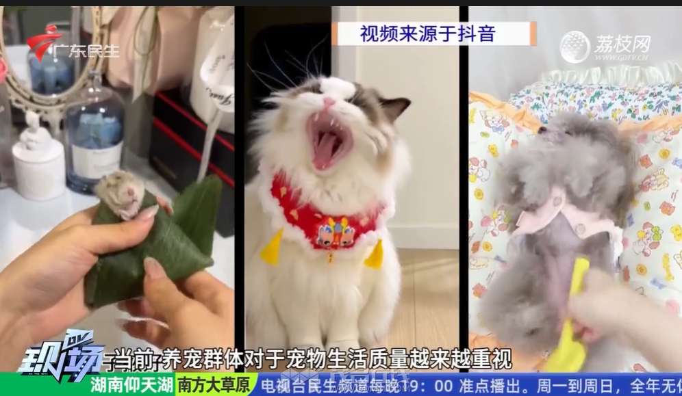 QQ��ͼ20240714084820.png