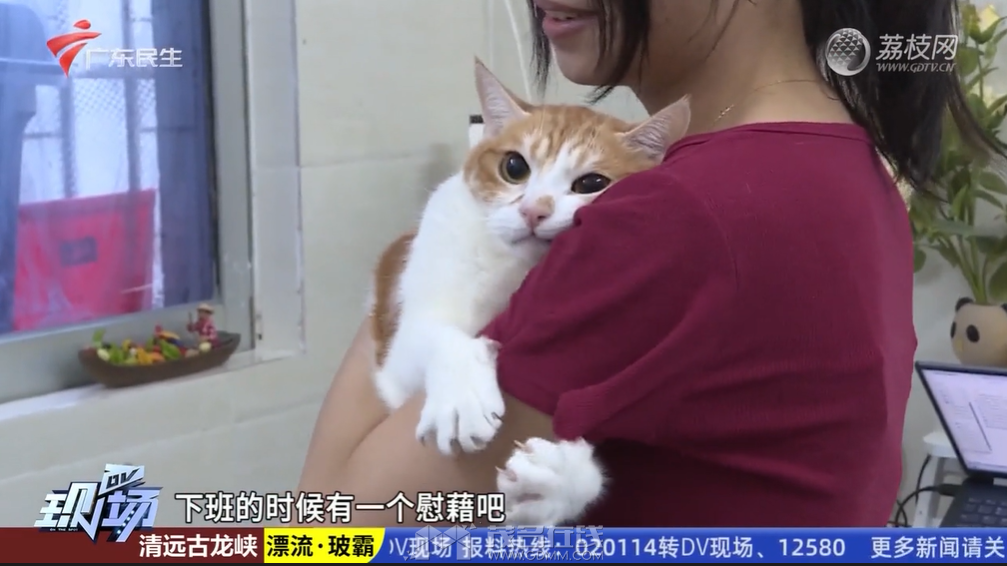 QQ��ͼ20240714084836.png