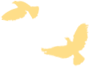 122435aotvjxvsjvccd23x.png