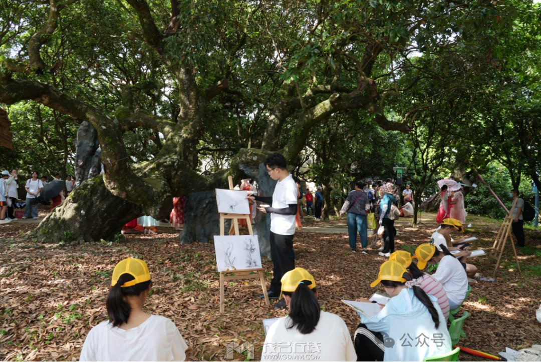 215429l45kn5ta68hu8ah6.png