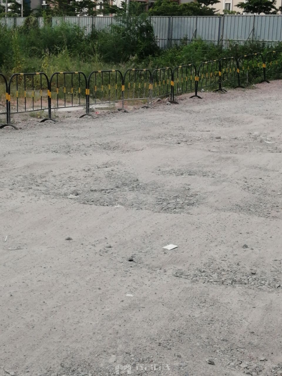 20240727084920front2_0_1016794_FjB7IblSuAkh5kv5QytZ-sPDWrh7.jpg