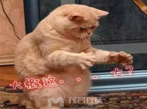 ���ֻ����ô��.jpg