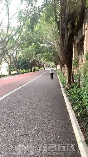 55505B96-A7CF-4931-8E1A-673AC59AE563.jpeg
