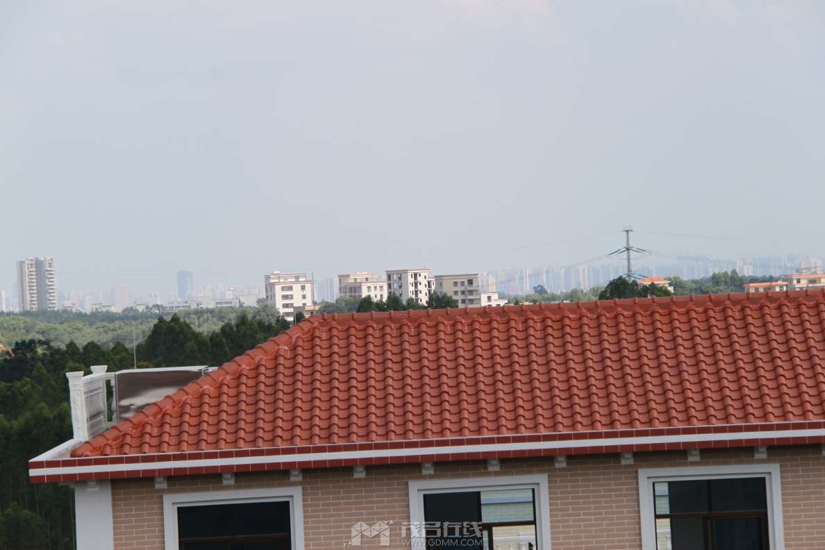 20240910213056front2_0_2949478_FmKxlW3A8fZcznMsL35Sav1Z5xWy.jpg