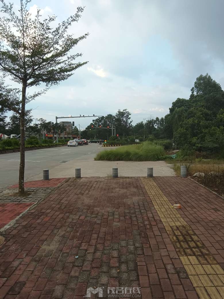 20240917224544front2_0_3341239_Fp51P6P-mkDIZO4ARrAXp1eIB1-X.jpg