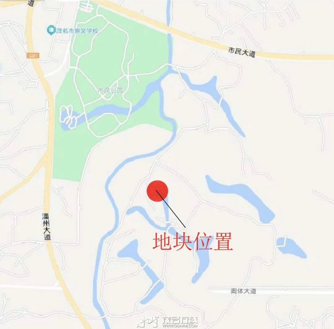 231300oxz7b6v7vwlv7y7w.jpeg