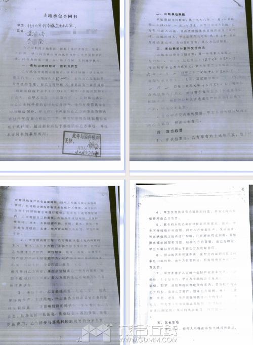 20241008200116front2_0_3388389_Fn_s5wKf1-sc2AXmqbvuoj0TQJMe.png