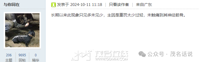 100932jyvuzrwuufrucy4f.png