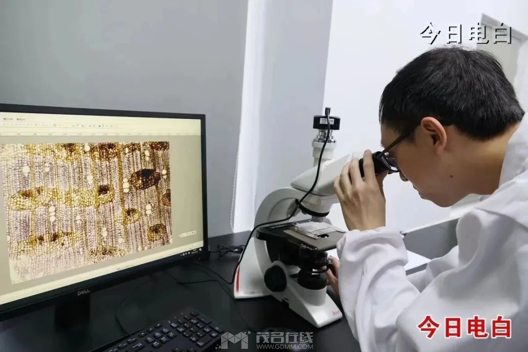 cn_mmbiz_jpg_7fxKZ0dKpMakX6ia6zVto4ZSKJ26UMHwBLPiajULcibBZXXd3PibIDvxWDZhCq6naOA.jpg