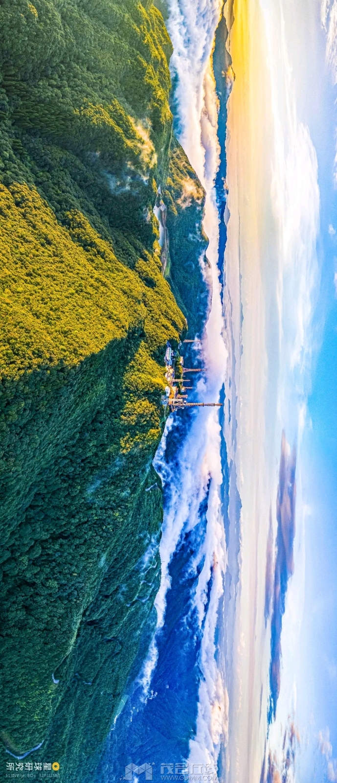 1729654221411.png
