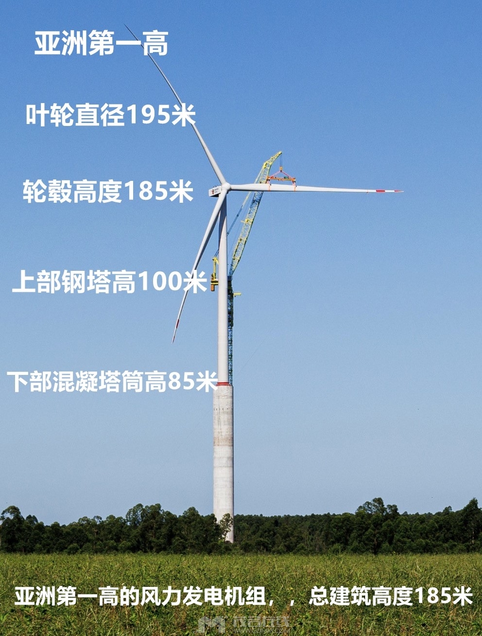 20240806090847365_���� (3).jpg