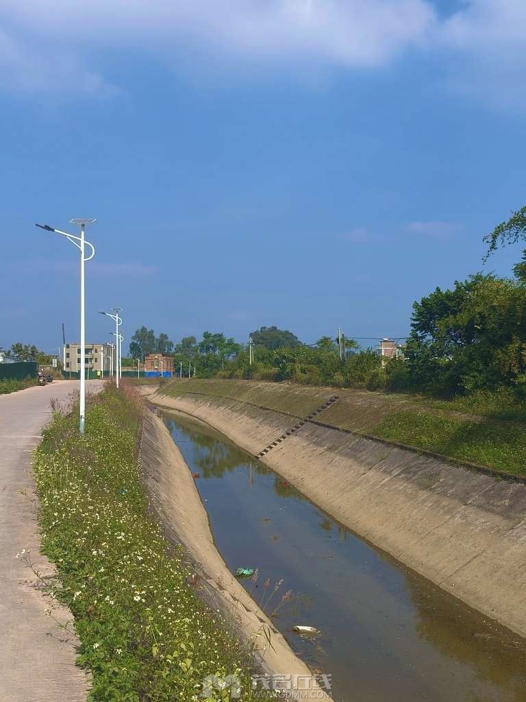 20241210152513front2_0_3375771_Frz-KErhK94dCT6SvRVeyAsuy5NN.jpg