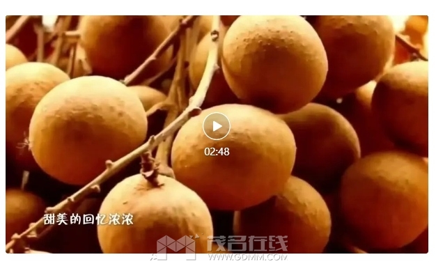 �����飬������.png