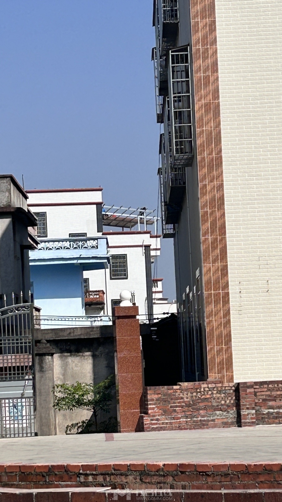 ����������¥��������