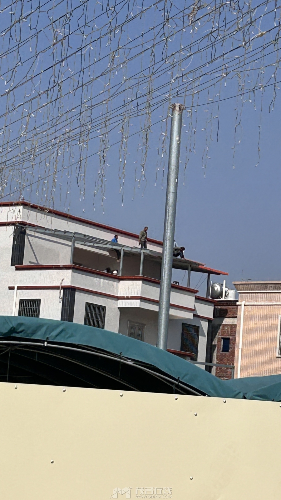 ����������¥��������