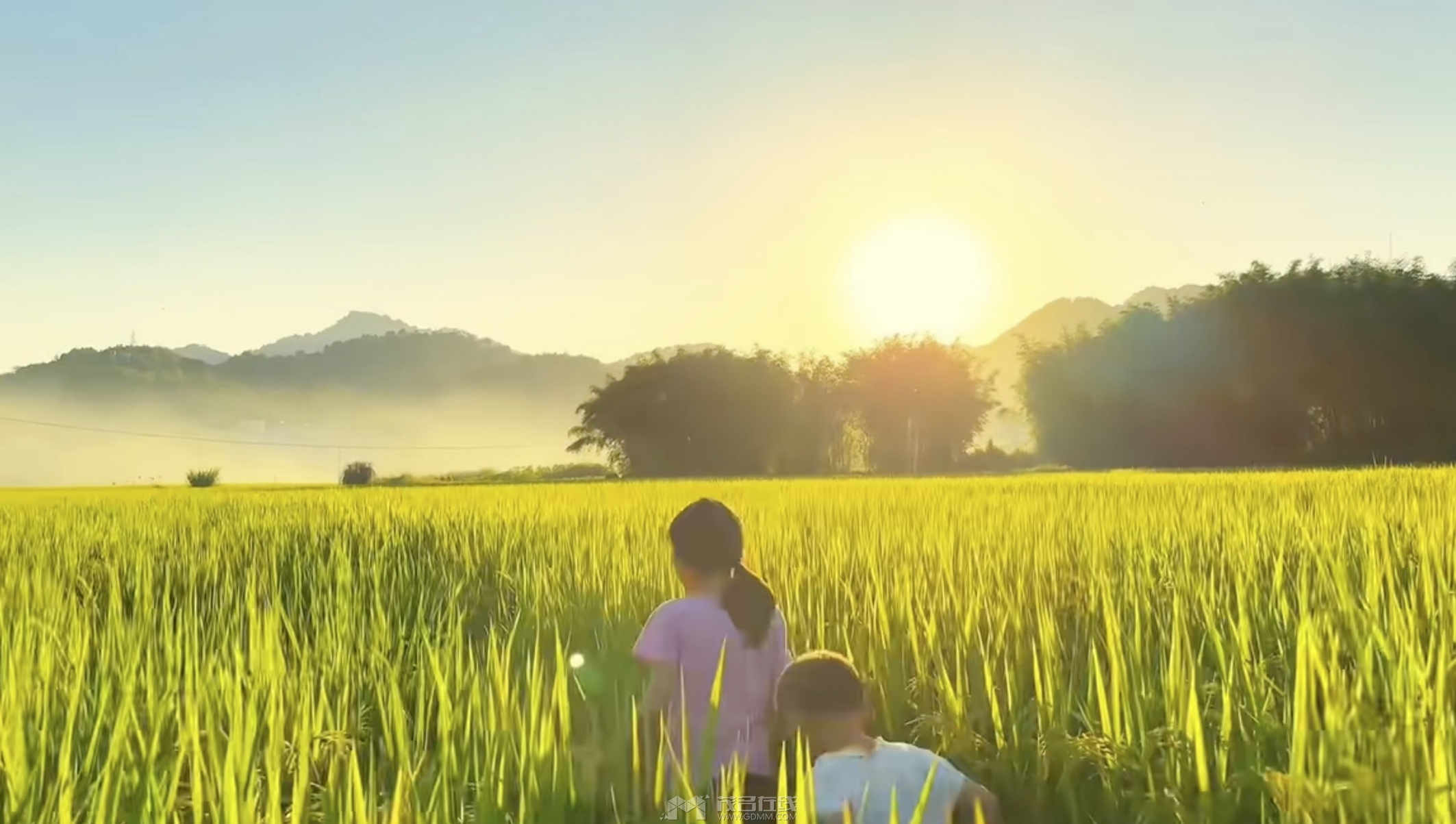 ��Ļ���� 2025-02-03 ����2.16.13.jpg