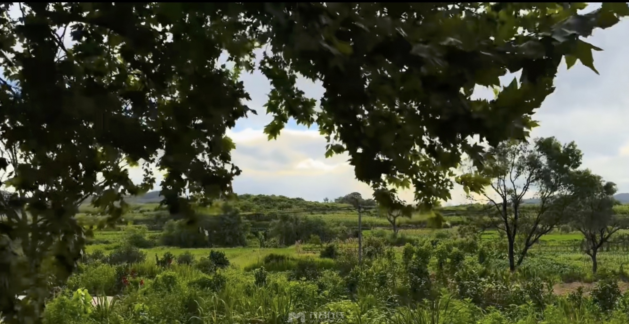 ��Ļ���� 2025-02-03 ����2.19.27.jpg