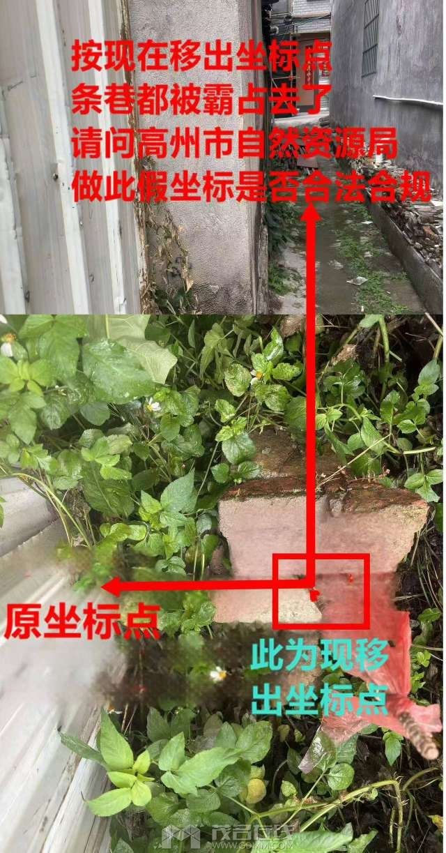 20250331171548front2_0_3389376_FjvYX0T1X4eRkoAkCCSetQi38j8_.jpg